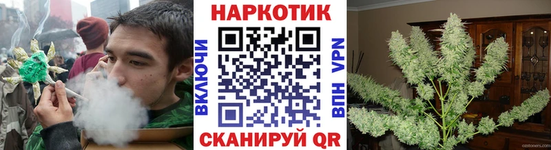 Купить закладку Ковылкино ГАШИШ  COCAIN  Альфа ПВП  Мефедрон 