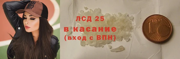 индика Бугульма