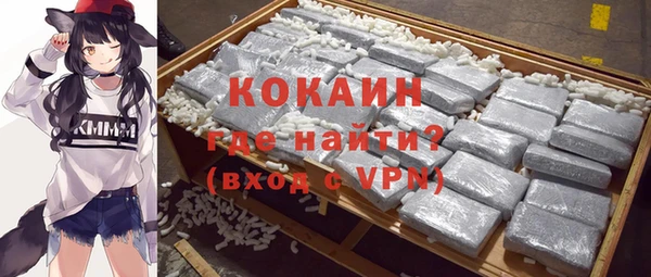 ECSTASY Богородск