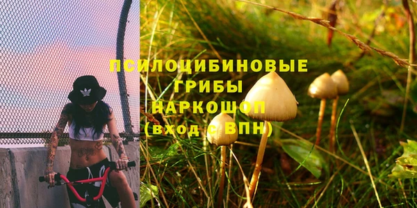 мяу мяу мука Тихвин